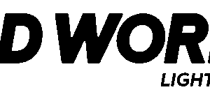 LEDWORLD-LOGO-2024-1