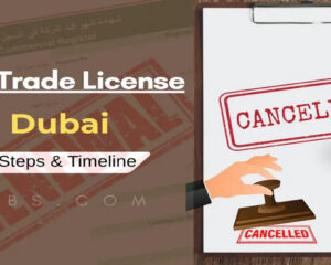 cancel-trade-license-in-dubai-co